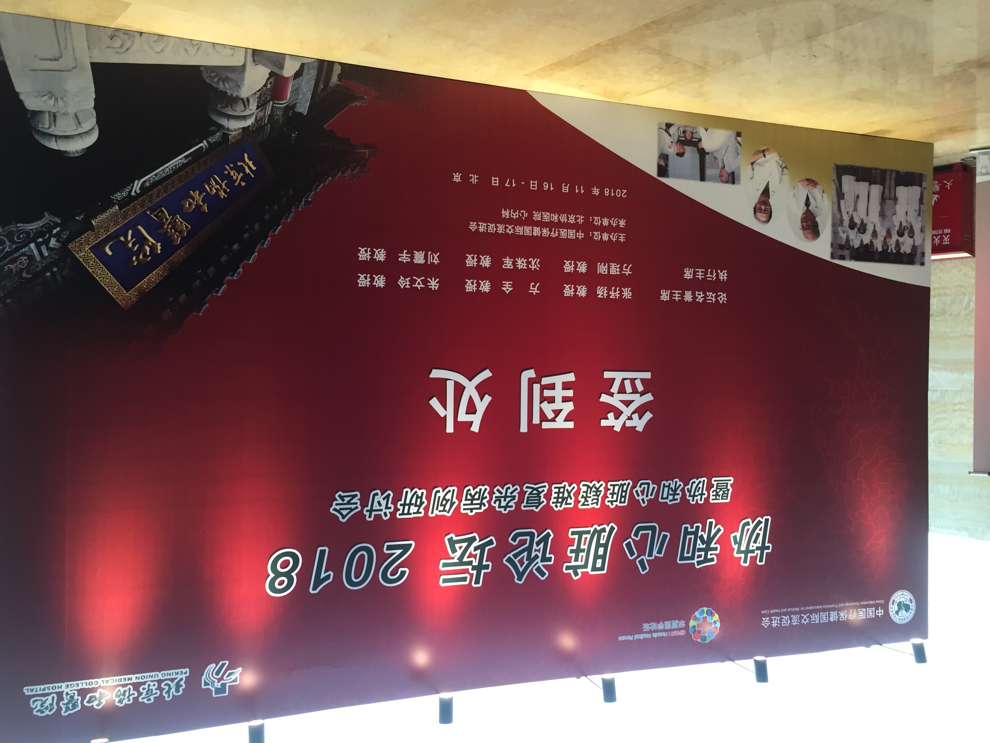 协和心脏论坛