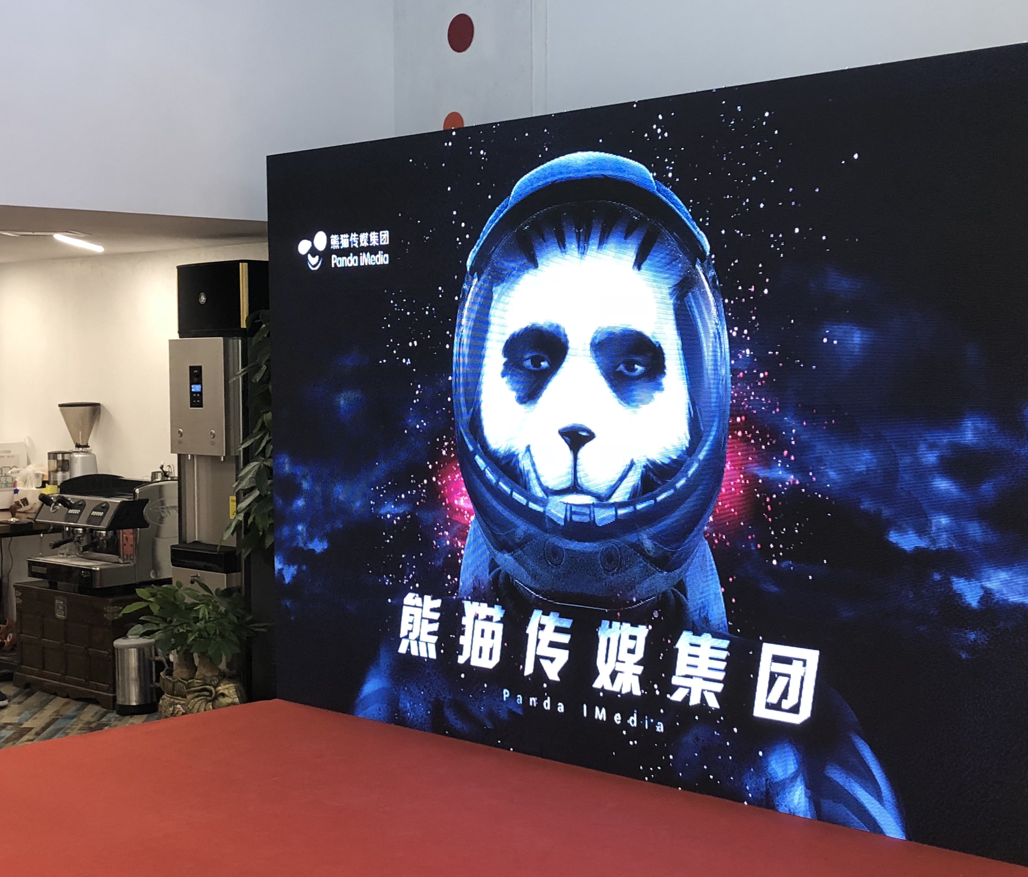 悠乐汇A区竹子文化