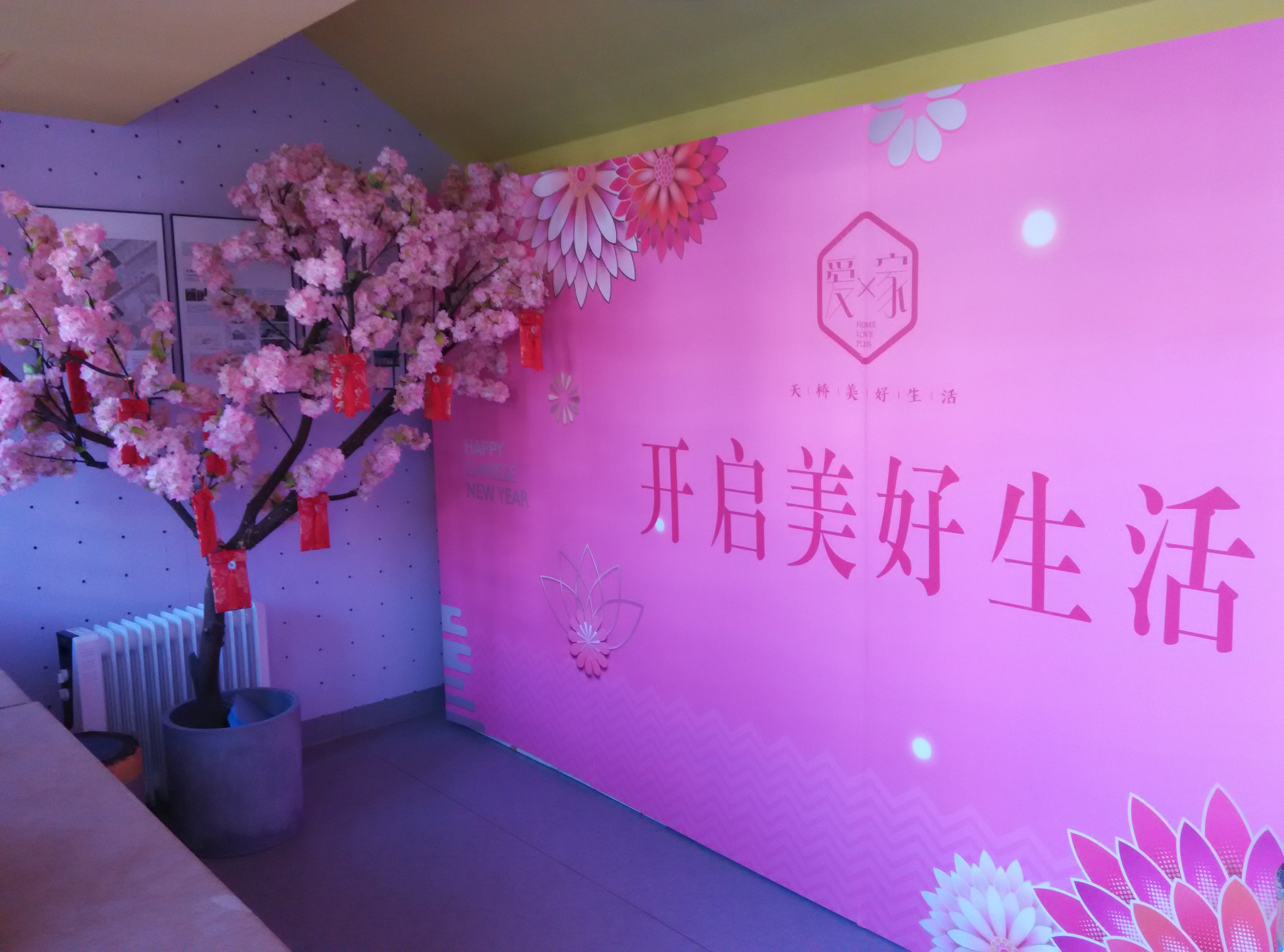 2018.2.6 2018年天桥庙会